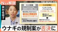 ウナギ全種の規制は否決！“違法取引”横行でEUが提案　7割を輸入の日本　食文化×資源を守るには【Nスタ解説】