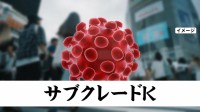 新たな変異ウイルス「サブクレードK」　インフルエンザ今年の流行は10年間で最大規模の可能性