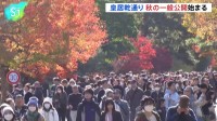皇居・乾通りで秋の一般公開始まる　色鮮やかなモミジやカエデ　初日は約2万人訪れる　11月29日～12月7日