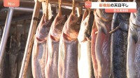 冬の風物詩「新巻鮭」の天日干し始まる　サケの記録的不漁も鮮魚店では600本そろえる　富山市