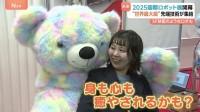 癒やしの“クマ”から「まるでSF映画！？」なロボットまで　2025国際ロボット展開催