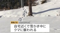 「まさかここまで降っているとは…」真冬並みの最強寒気で日本各地に大雪　雪かき中に“クマ被害”も
