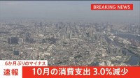 10月の消費支出−3.0％　6か月ぶりのマイナス　物価高による節約志向が鮮明に