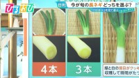 ネギの頭は3本・4本どっちがおいしい？プロはここを見る！白菜・大根 冬野菜の目利き術【ひるおび】