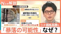 「米余り」で価格“暴落”の指摘も　「売れていない」「5kg3500円なら暴落」米専門店の本音【Nスタ解説】