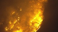 【速報】妙義山で山火事　8万平方メートルが焼ける　人に被害なし　あすの朝から消防作業再開　群馬県消防