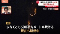 神奈川・伊勢原市の日向山で山火事発生 少なくとも600平方メートル焼ける　現場は山頂近くの尾根で付近に民家なし 現在も延焼中