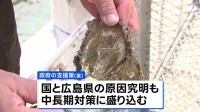 瀬戸内海の養殖カキ大量死　政府が実質無利子融資で支援へ