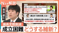「衆議院の議員定数削減」法案 与野党の攻防激しく…成立は困難　自民と維新で温度差も　今後の行方は【Nスタ解説】