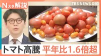 「いま400円ぐらい」もはや高級野菜…“トマトショック”　高値はいつまで続く？【Nスタ解説】