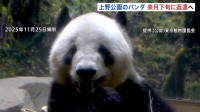 上野公園のパンダ「シャオシャオ」「レイレイ」1月下旬に中国返還へ 期限より1か月早く… 国内のパンダ「ゼロ」に