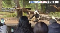 上野動物園のパンダ「シャオシャオ」「レイレイ」に行列　お別れを前に1分制限付きの観覧始まる 今後は事前予約や抽選制に