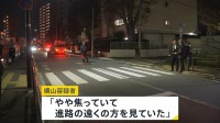 「進路の遠くの方を見ていた」東京・板橋区で小5の男の子がトラックにひかれ死亡　運転していた会社員を現行犯逮捕【news23】