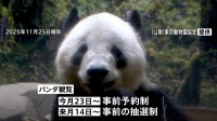 もうすぐ「お別れ」上野の双子パンダ「シャオシャオ」「レイレイ」　返還発表から初めての週末は早朝から大行列　23日からは事前予約制・その後は抽選制に
