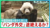 宿泊費2万円から半額以下に…中国人団体客が消えた鎌倉・京都の今　上野のパンダも中国へ「パンダ外交」は途絶えるか？【サンデーモーニング】