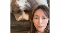 【 工藤静香 】　愛犬に叱られる姿を公開「年に数回、眠気マックスのエトに叱られる私」