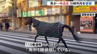 仕事始めの街中を馬が徘徊　明治大学・馬術部の馬が逃走か　警察車両に誘導され無事大学へ戻る　けが人なし　川崎市多摩区