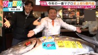 “一番マグロ”史上初5億円超え！落札した『すしざんまい』社長もびっくり「死に物狂いで働かないと」【ひるおび】