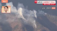 山梨・上野原市の山林火災　鎮圧の見通し立たず