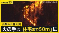 山梨の山林火災30時間以上延焼中　住宅から50m地点まで火が迫る…火元はどこか？出火直後に撮影された写真【news23】