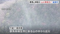 群馬と神奈川で「山火事」相次ぐ　いずれも鎮火に至らず　消防や自衛隊はあすも消火活動