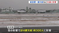 雪の交通への影響　全日空4便・日本航空7便の欠航決める　東海道新幹線　愛知・三河安城駅から京都駅の間の一部区間で速度を落として運転　列車に遅れが