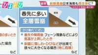 寒暖差の激しい冬 なだれや落雪に注意　春先に多い「全層雪崩」の危険も【ひるおび】