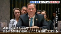 イラン情勢めぐり国連安保理が緊急会合　米大使“虐殺止めるためならあらゆる手段排除しない”　イスラエル首相が「攻撃延期」要請と報道も