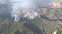 静岡・藤枝市の山林火災　現在も延焼中　ヘリコプターなどによる消火活動続く