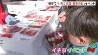 イチゴ狩り体験にイチゴを使った洋菓子販売　生産量日本一の栃木県庁で「いちご王国・栃木の日」イベント