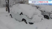 新潟は平野部でも大雪見込み 平年の倍以上の積雪も　交通障害に警戒