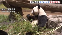 もうすぐさよなら　上野動物園の「双子パンダ」最後の観覧日　抽選倍率は24.6倍　国内は54年ぶりにパンダ不在へ