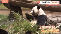 「バイバイって声をかけました」国内で見納め　上野の双子パンダ最終観覧日　「シャオシャオ」・「レイレイ」あさって（27日）出国予定