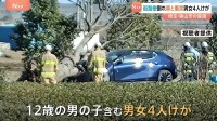 「車が倒木と衝突した」国道で街路樹が倒れ走行中の車に衝突　男女4人がけが　高さ約12メートル 太さ約1メートルの欅の木　埼玉・狭山市