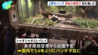 上野の「双子パンダ」観覧最終日　あす27日に中国へむけ出発　国内のパンダは54年ぶり不在に
