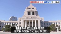 衆議院選挙あす公示　午後に党首討論へ 消費減税などめぐり論戦　来月8日投開票