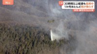 群馬・藤岡市の山林火災　30時間経過も延焼中　47ヘクタールに被害拡大　この1か月ほとんど雨降らず“林野火災注意報”