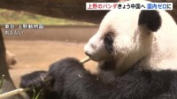「会えなくなるのは寂しい」東京・上野動物園の双子パンダきょう中国へ向け出発　54年ぶりのパンダ不在に　園には別れを惜しむ多くの人が