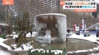 アメリカ 歴史的寒波の影響で30人死亡　停電で航空便1万3000便以上が遅延・キャンセルも