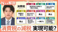 “消費税の減税”で暮らしどうなる…各党公約の実現可能性は？税収減で社会保障は？【Nスタ解説】【選挙の日、そのまえに。】