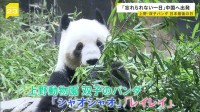 「忘れられない一日」上野・双子パンダ日本最後の日　“新たなパンダの貸与”は見通し立たず…中国「パンダを見に来ることを歓迎」【news23】