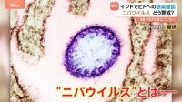「ニパウイルス」インドでヒトへの感染確認　現地在住の日本人「気をつけなきゃいけないなというレベルで生活」 アジア各国で検疫強化、流行への懸念高まる