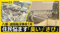 【八潮市の道路陥没事故から1年】避難所で出会った妊婦は母に…募る娘への不安　長引く工事で苦しむ周辺住民に絆「八潮が好き」【news23】