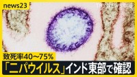 致死率40～75％「ニパウイルス」インド東部で感染者を確認　日本の外務省も注意喚起　アジア各国では対策強化の動きも【news23】