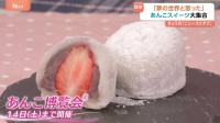 「罪悪感が少ない」時代はチョコよりも『あんこ』！？「これは夢の世界」東京・日本橋で魅惑の『あんこ博覧会』が開催中