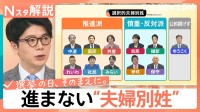 進まない選択的夫婦別姓　高市総理「旧姓の通称使用」に法的効力検討も…経済界からは不正リスクに懸念の声【Nスタ解説】