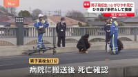 【速報】埼玉・越谷市で男子高校生（16）が車にひかれ死亡　車はその場から逃走　ひき逃げ事件とみて警察が行方を追う　埼玉県警