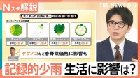 “30年に一度”記録的な少雨に農家悲鳴「経験がない」野菜の価格に影響、ダムも水不足「貯水率ゼロ」も【Nスタ解説】