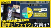 選挙中に溢れる“フェイク”対策は？世界各国で摸索… ファクトチェックは「民主主義を守るもの」“偽発言” 見破るドイツの公共放送【news23】