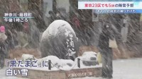 関東各地で雪　東京23区で8日夕方にかけ5cmの降雪予想　千葉・木更津の公園は銀世界に　神奈川・箱根町では名物「黒たまご」に白い雪が